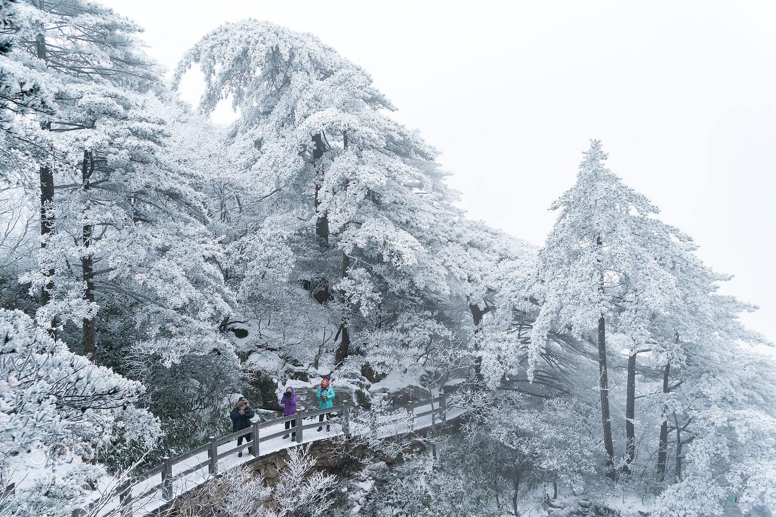 Sony a9 sample photo. 桥。雪凇 snow yuki ii 黃山-huangshan-china photography