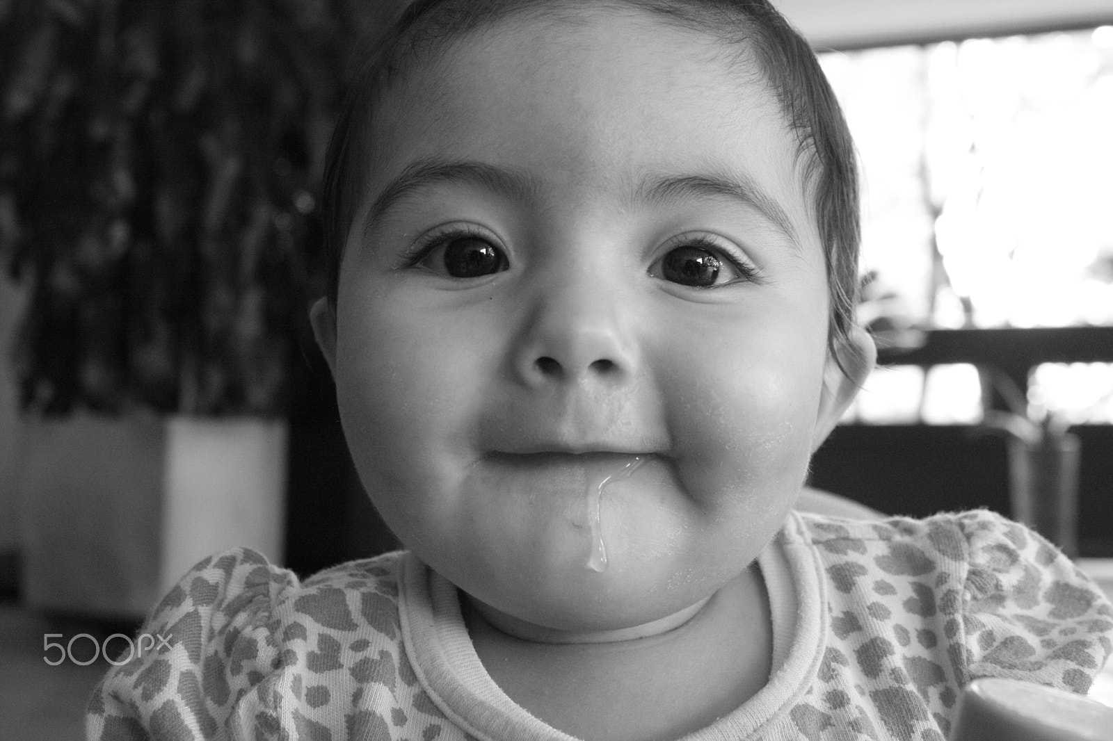 Canon EOS 1000D (EOS Digital Rebel XS / EOS Kiss F) sample photo. Con ruido <3 photography