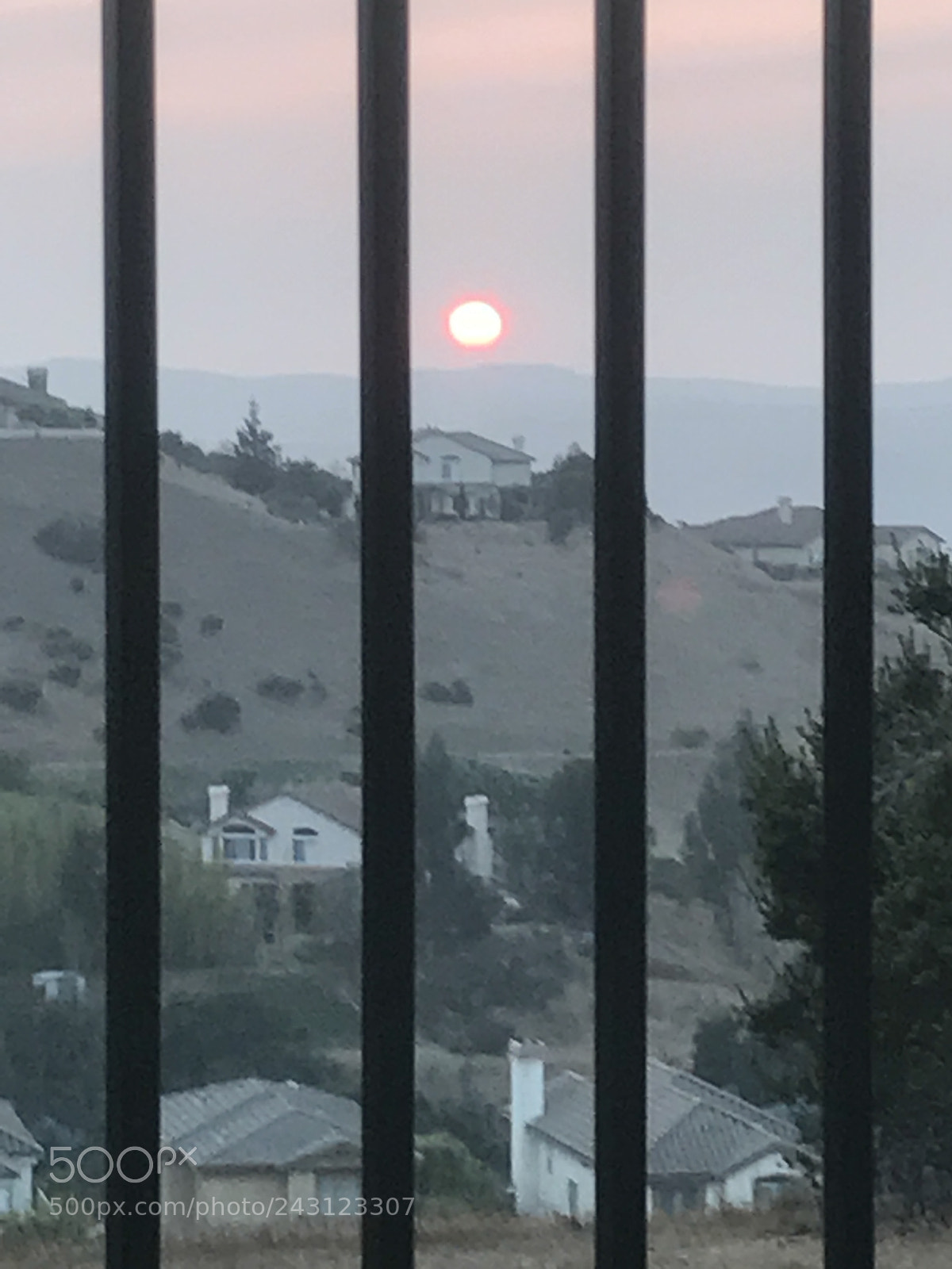 Apple iPhone 7 sample photo. Restrictions from the sun photography