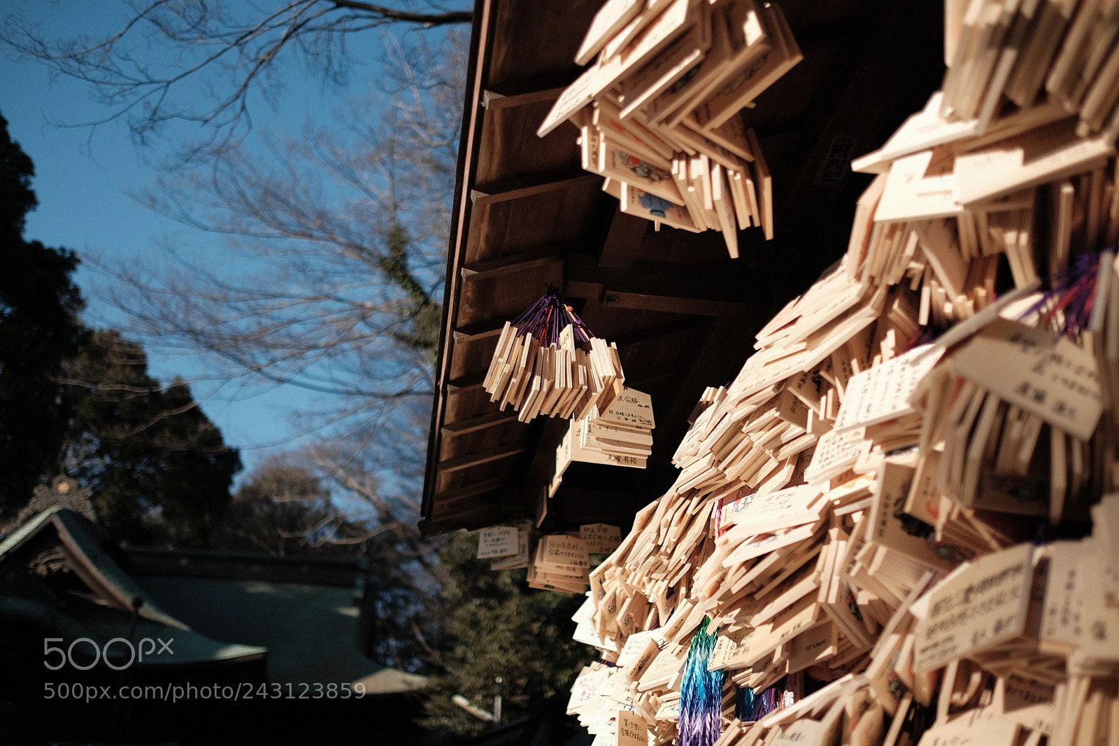 Fujifilm X-T2 sample photo. Wishes photography