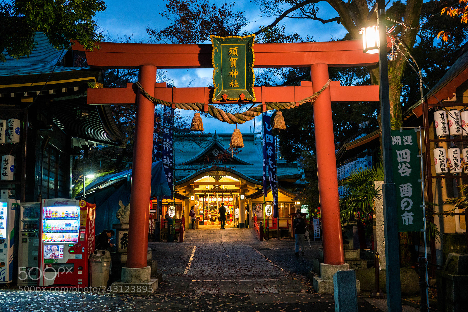 Sony a7R II sample photo. Suga shrine photography