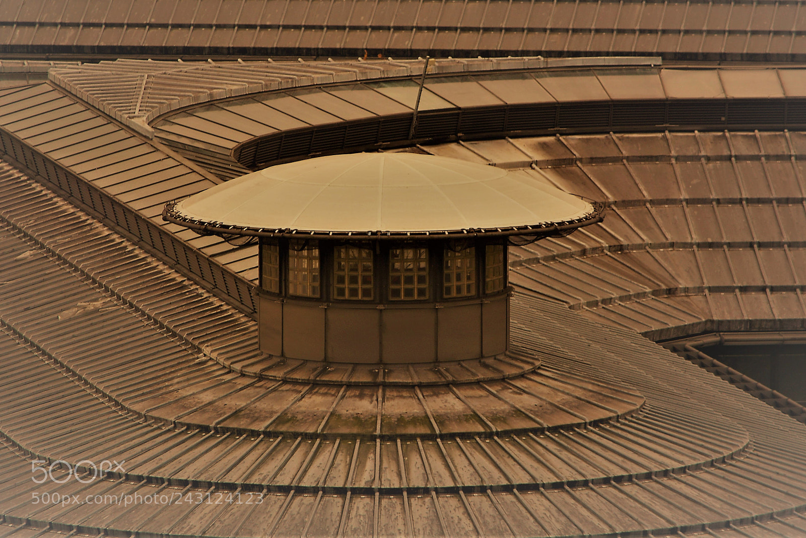 Nikon D7100 sample photo. Up on thee roof photography