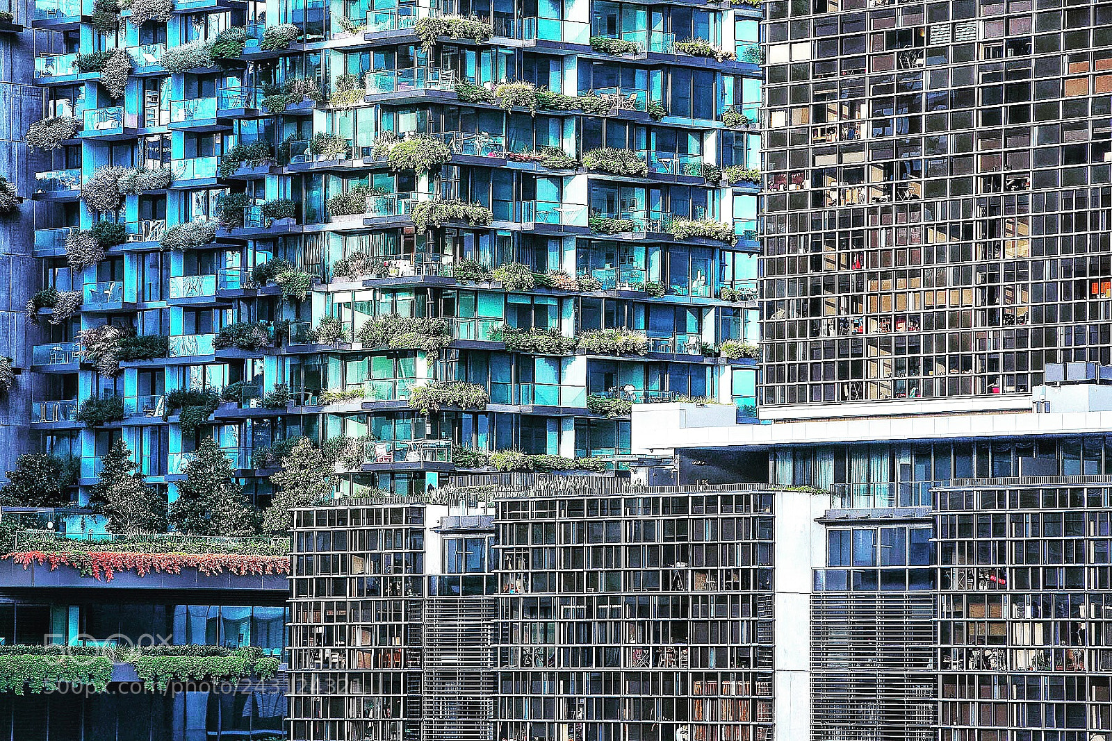 Canon EOS-1D X Mark II sample photo. Urban living photography