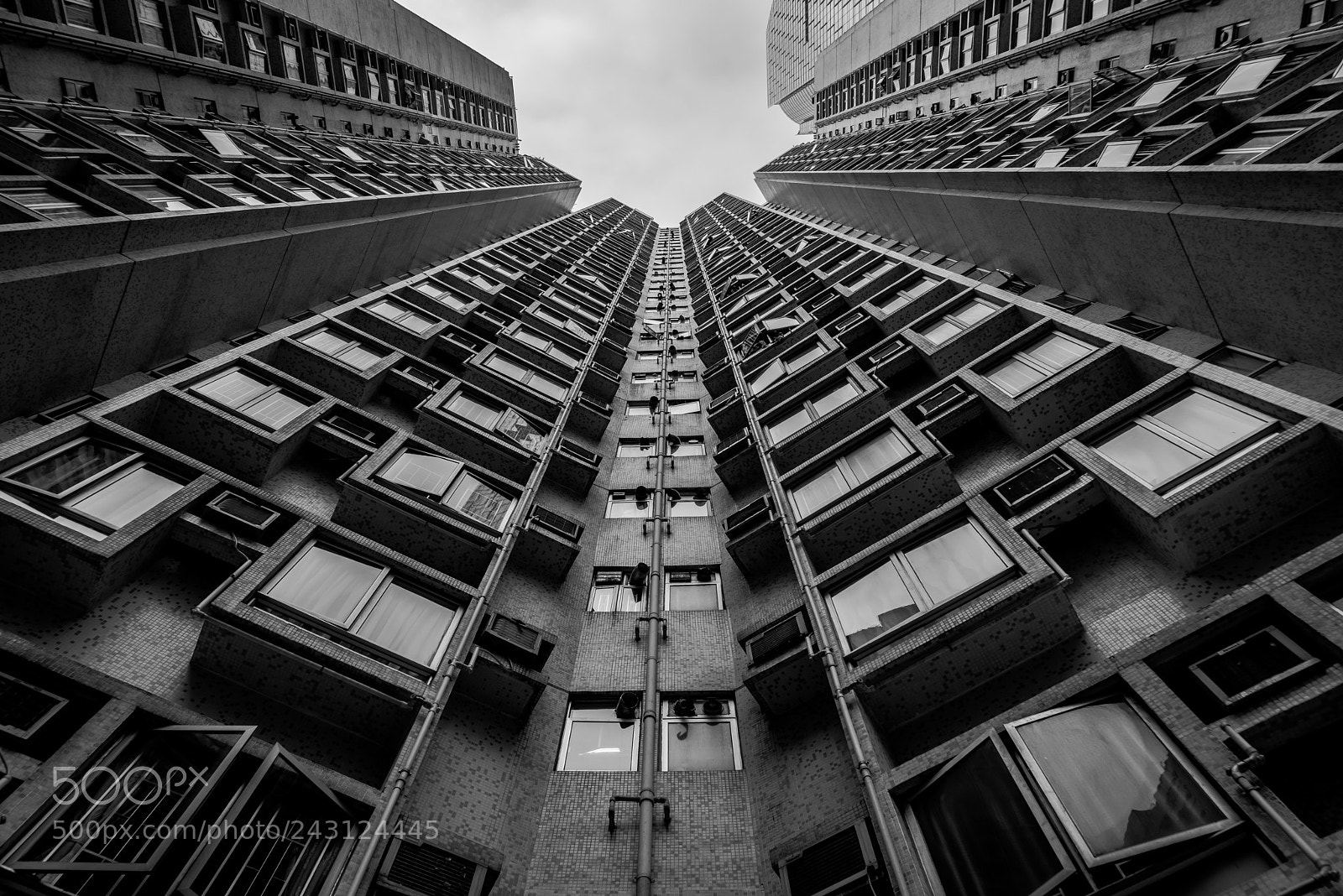 Sony a7R sample photo. Looking up photography