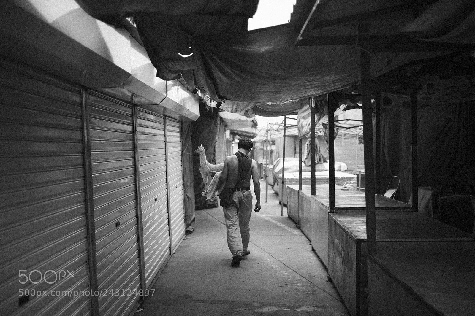 Nikon Df sample photo. Untitled photography
