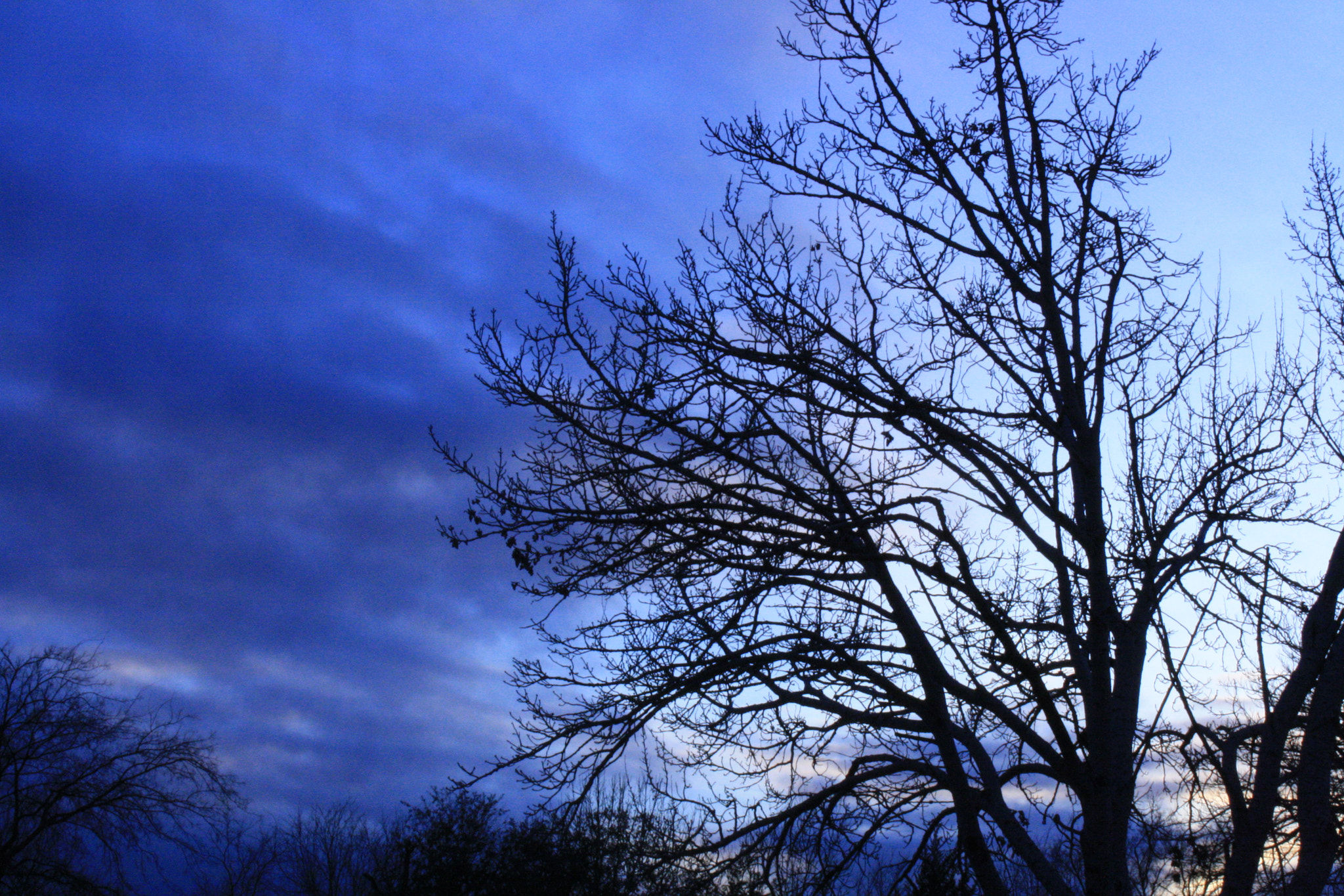 Canon EOS 1000D (EOS Digital Rebel XS / EOS Kiss F) sample photo. Img photography