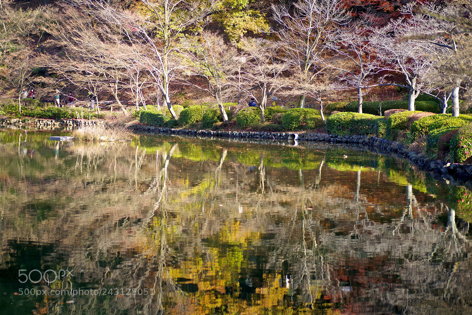 Pentax K-1 sample photo. Reflections in the early photography