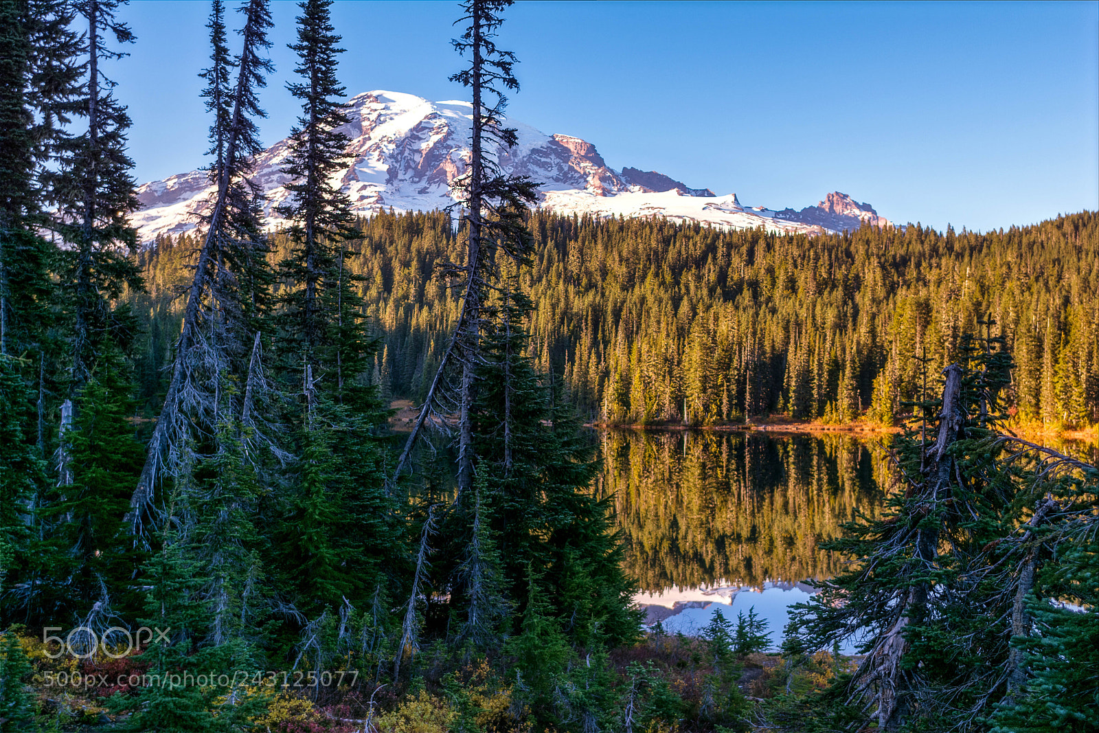 Nikon D7100 sample photo. Reflection lake photography
