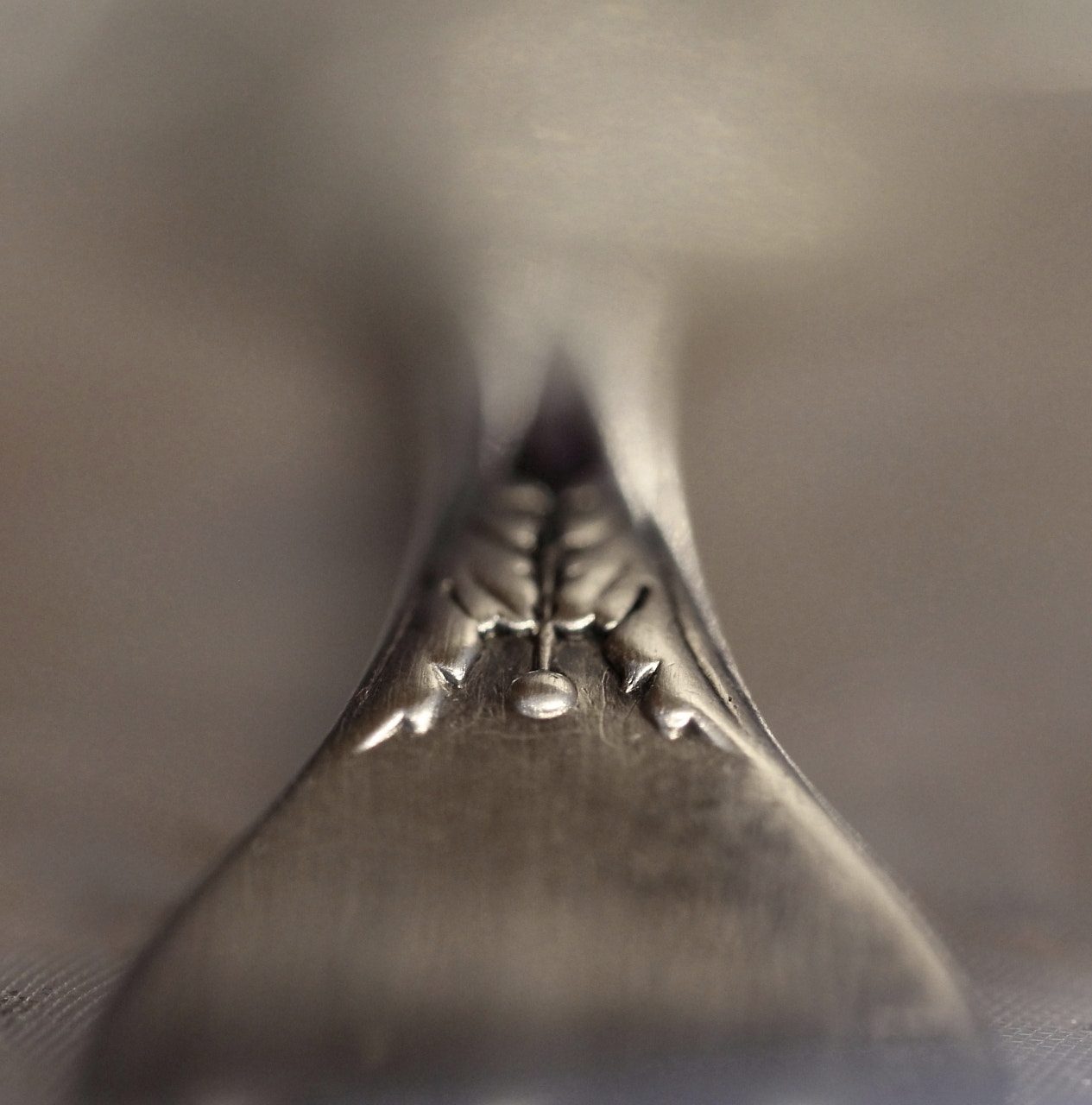 Sigma 150mm f/2.8 EX DG OS HSM APO Macro sample photo. ? photography