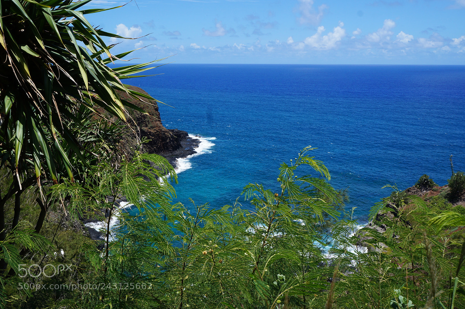 Sony Alpha NEX-F3 sample photo. Beautiful photography