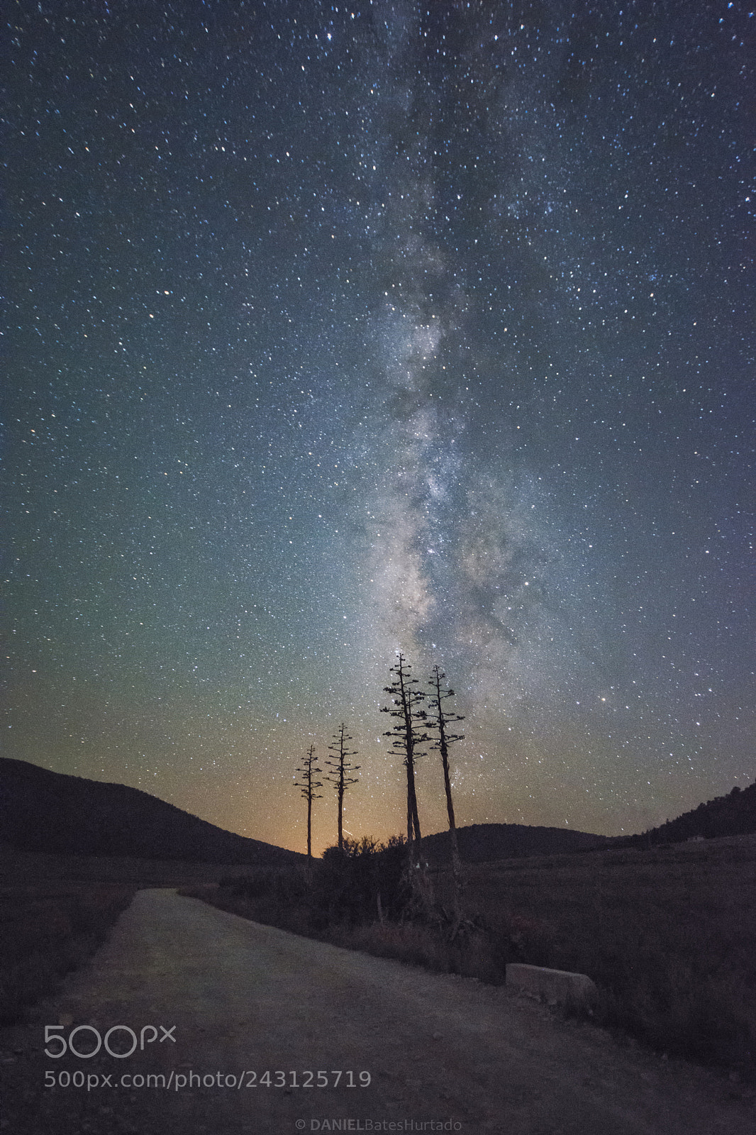 Nikon D7100 sample photo. Milky way and cactus photography