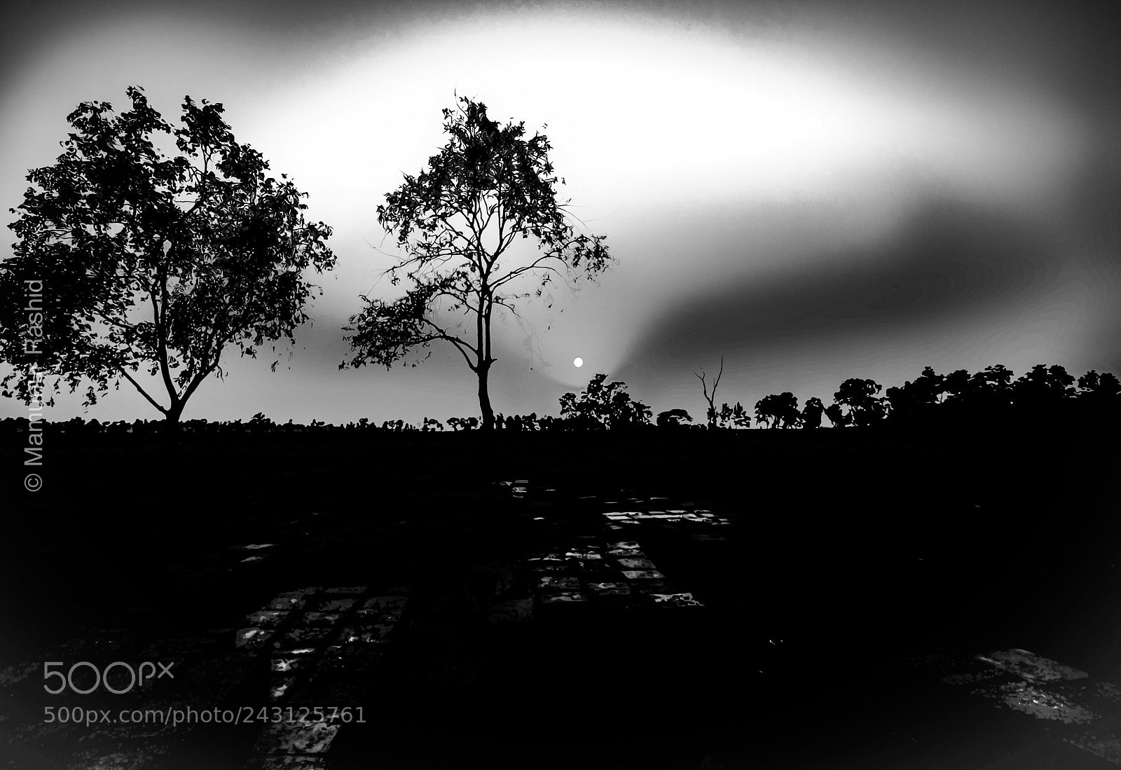 Fujifilm X-T1 sample photo. Untitled photography