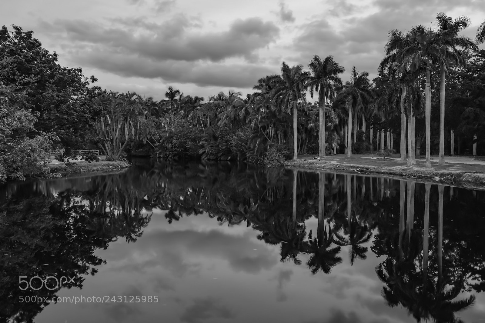 Fujifilm X100F sample photo. Crandon park photography