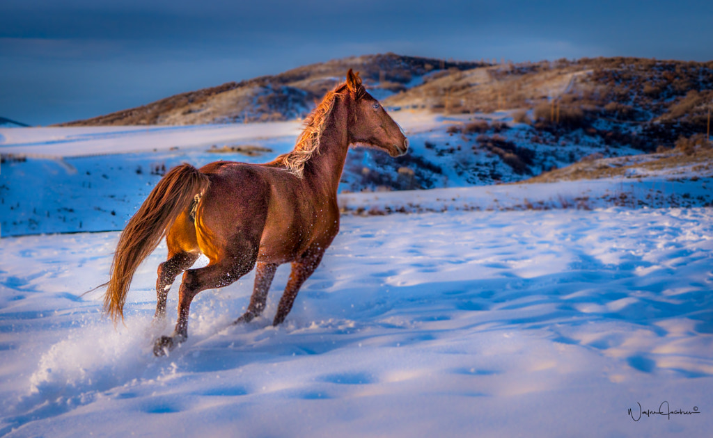 delta by Wayne Jacobsen on 500px.com