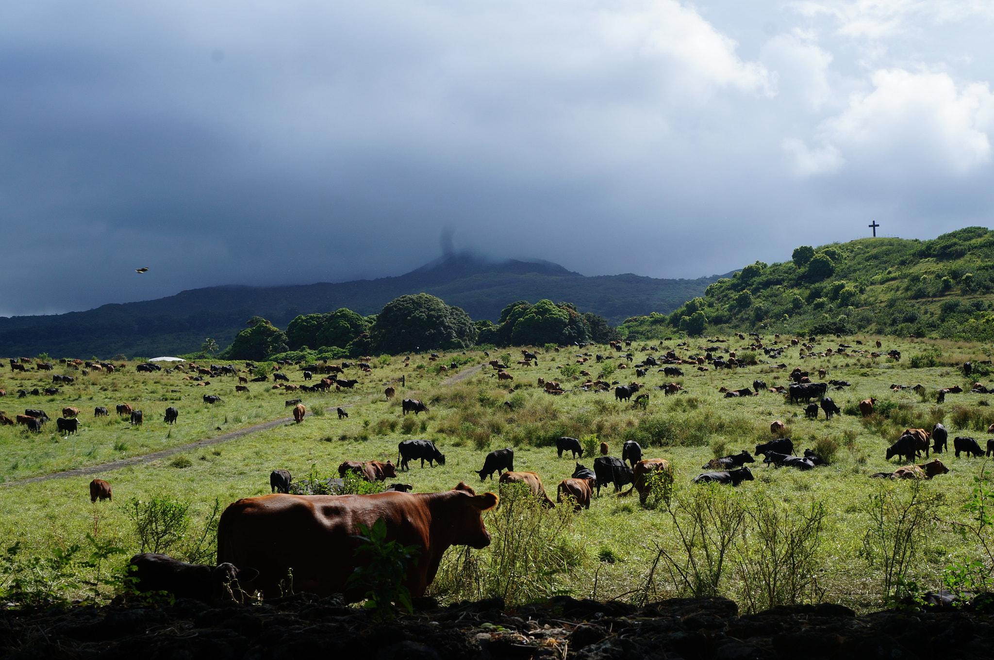 Sony Alpha NEX-F3 + Sony E 18-55mm F3.5-5.6 OSS sample photo. Farmland photography