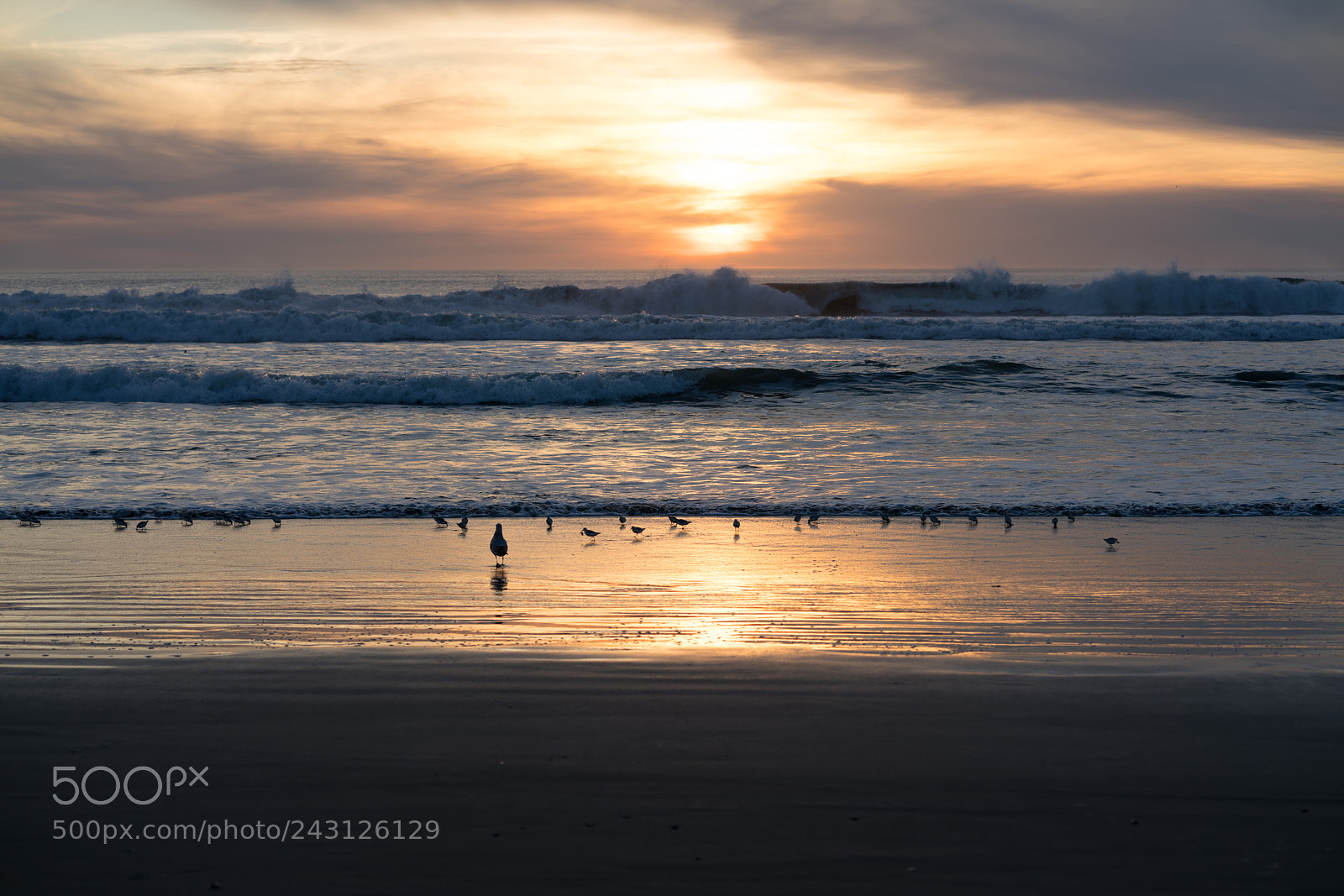 Sony a7R II sample photo. Wait photography