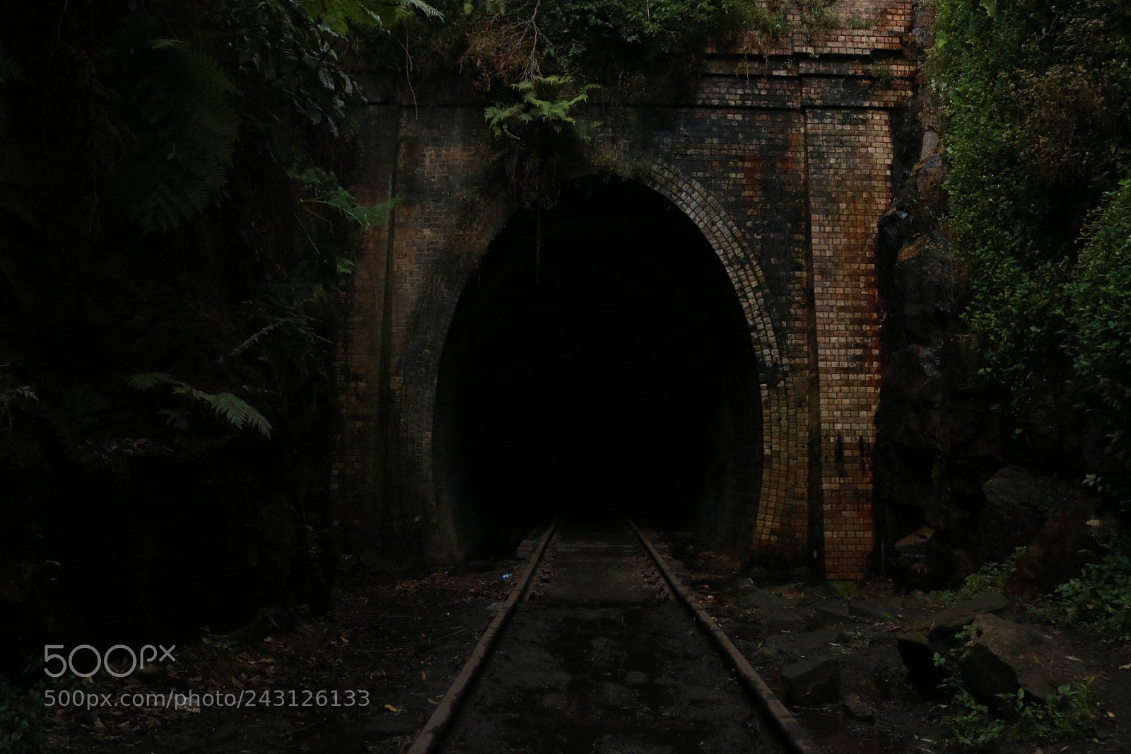 Canon EOS 750D (EOS Rebel T6i / EOS Kiss X8i) sample photo. Darkness hides mystery photography