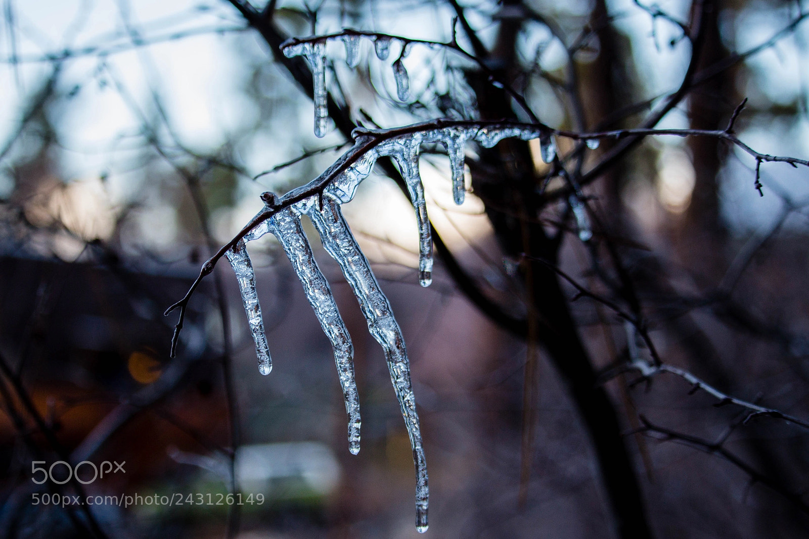 Canon EOS 700D (EOS Rebel T5i / EOS Kiss X7i) sample photo. Cold fingers photography