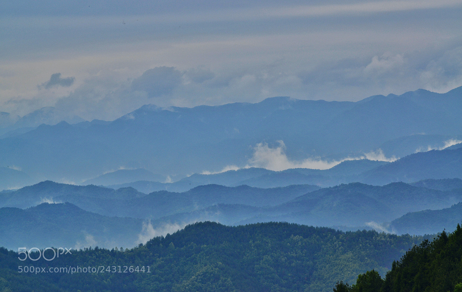 Nikon D800 sample photo. 中国秦岭深处 photography
