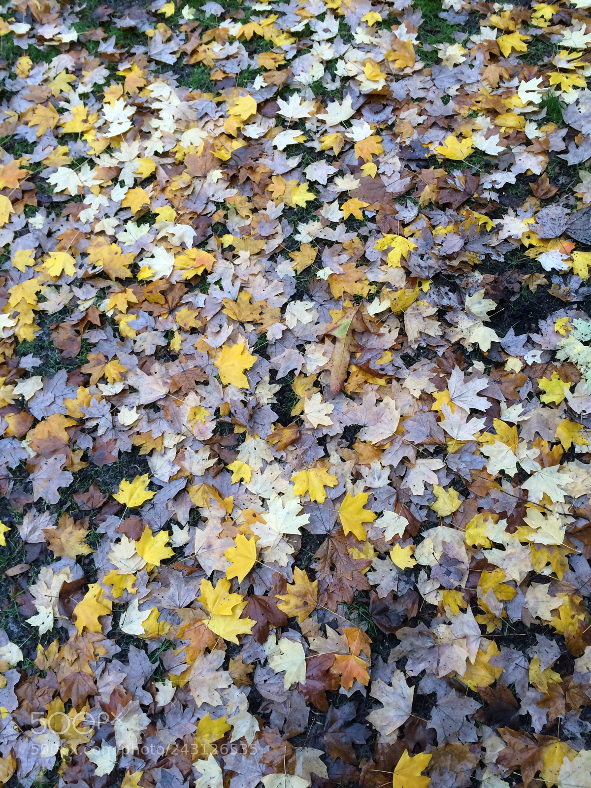 Apple iPhone 5s sample photo. Savannah, georgia photography