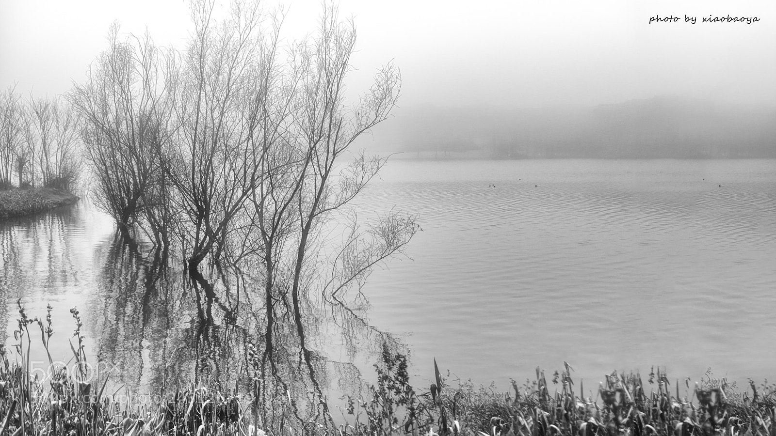 Pentax K-S2 sample photo. Untitled photography