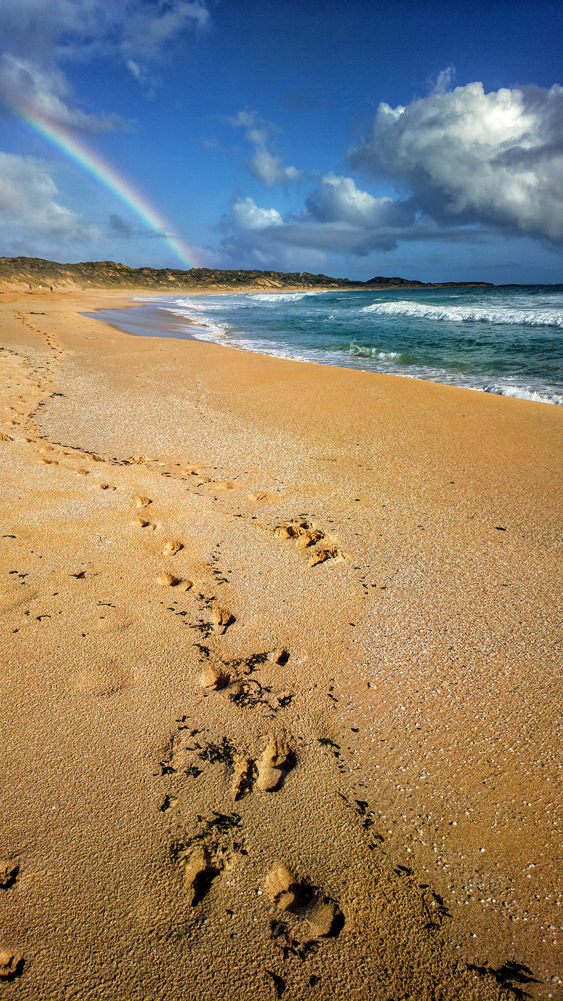 Nokia 808 PureView sample photo. Ocean rainbow photography