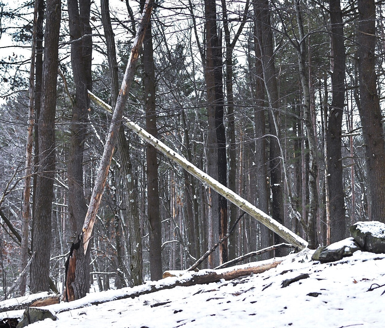 Nikon D7200 sample photo. Marks the spot photography