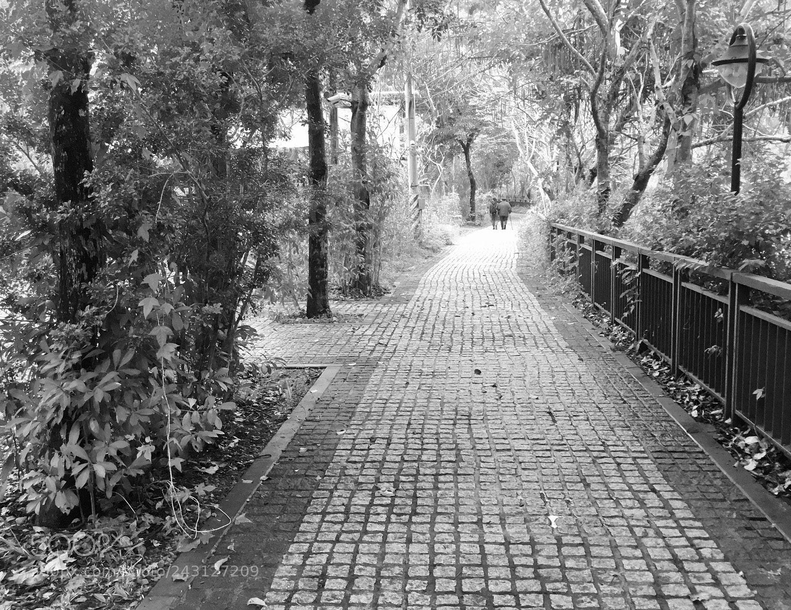 Apple iPad sample photo. The stroll photography