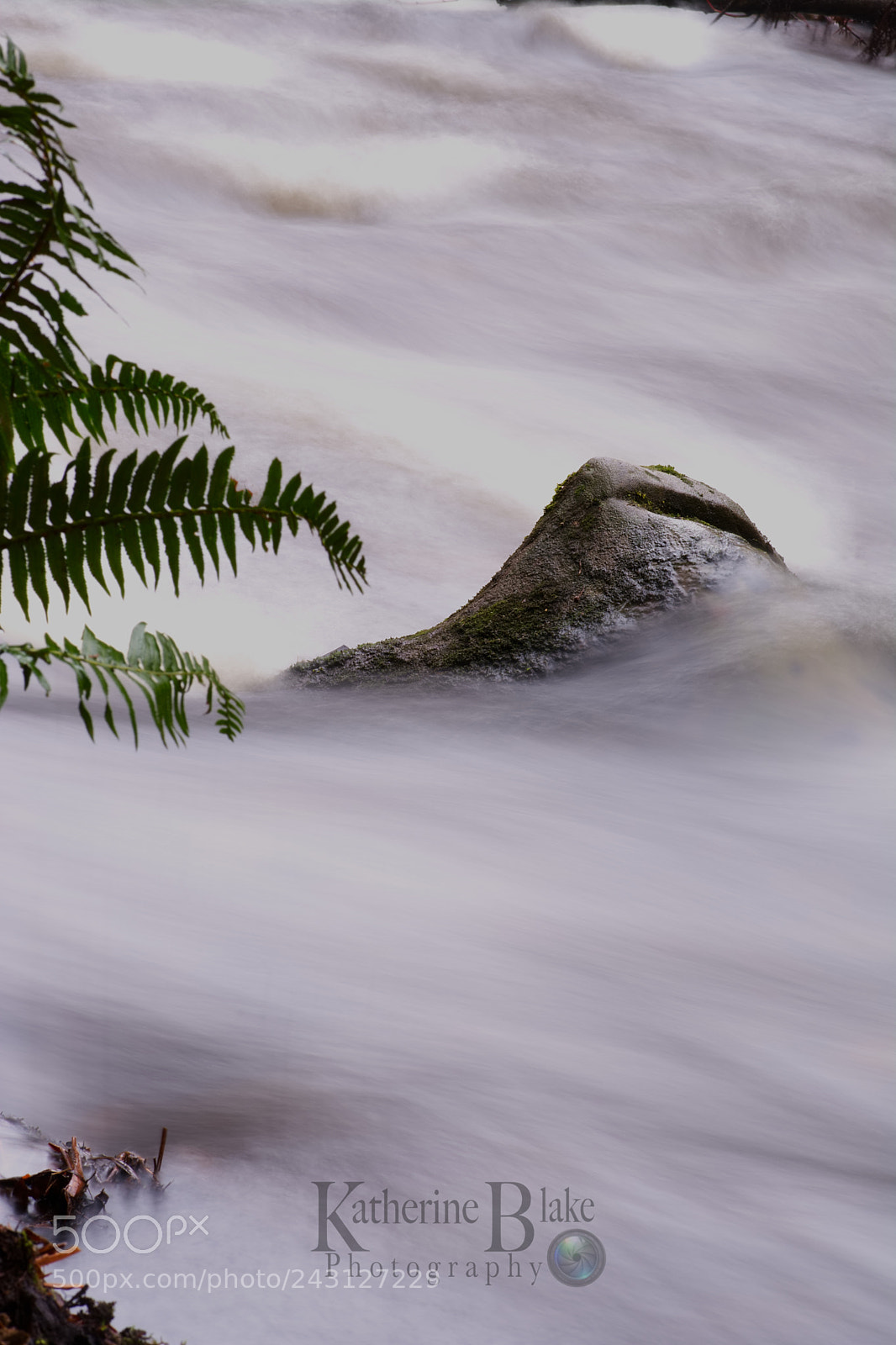 Nikon D7100 sample photo. Rushing past photography
