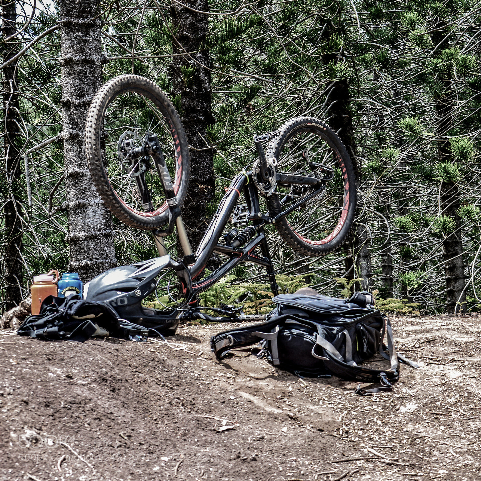 Nikon D3200 sample photo. Hike a bike photography