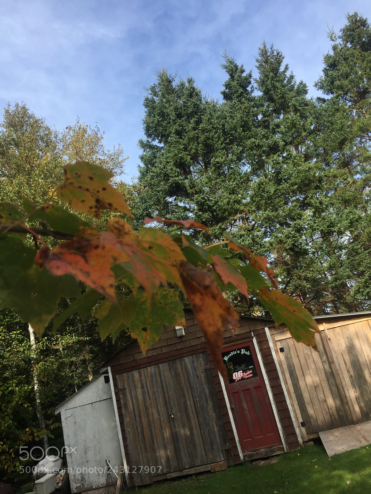 Apple iPhone 6 sample photo. Untitled photography