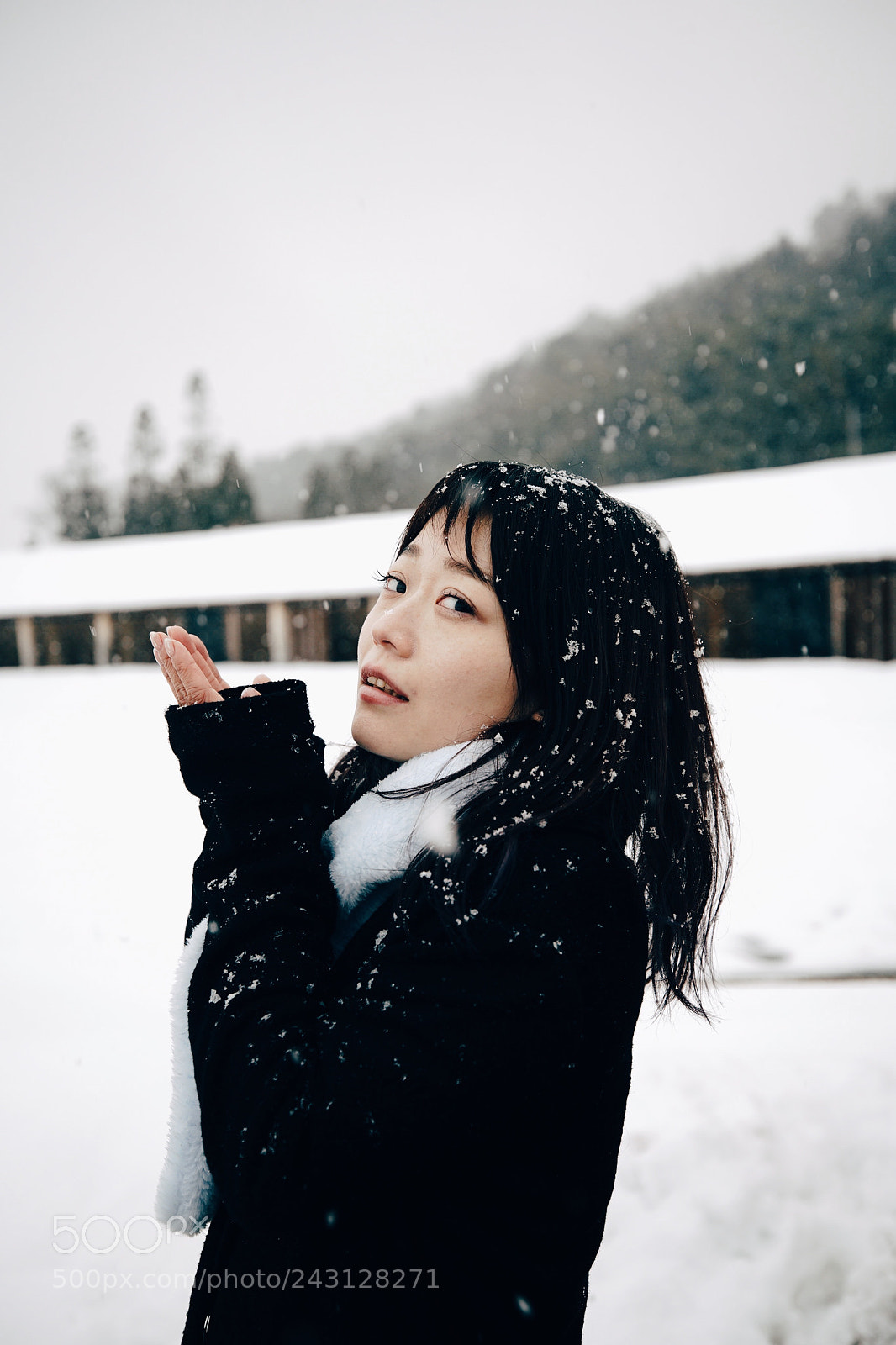Sony a7R II sample photo. Snow photography