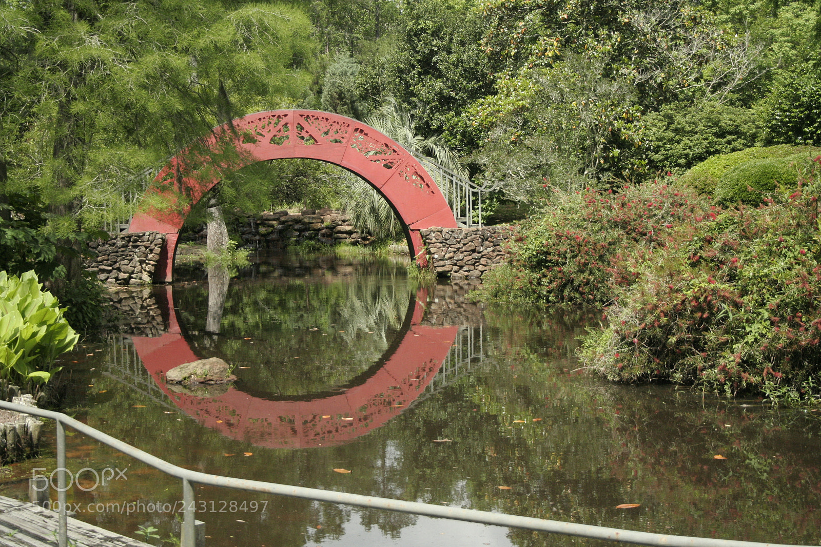 Canon EOS 350D (EOS Digital Rebel XT / EOS Kiss Digital N) sample photo. Asian ring photography