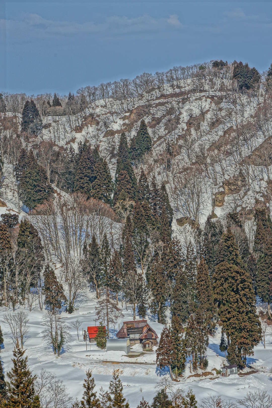 Canon EF 300mm F2.8L IS II USM sample photo. 冬の晴れ間 photography