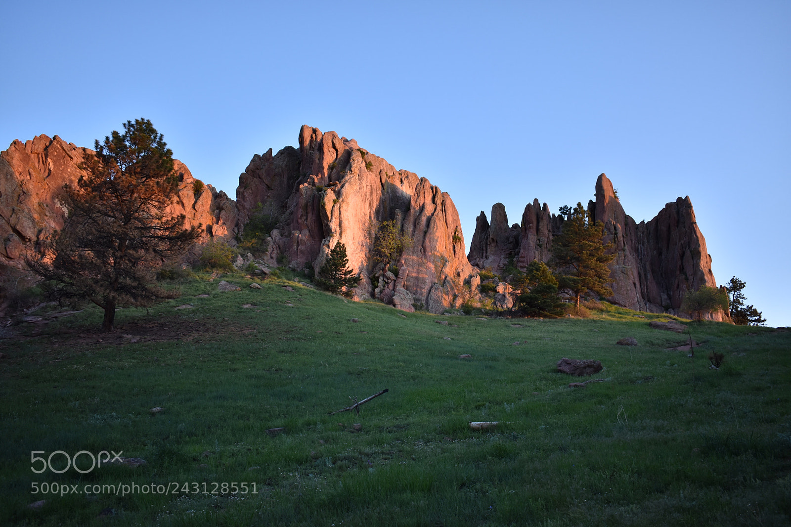 Nikon D3400 sample photo. Red rocks trail photography