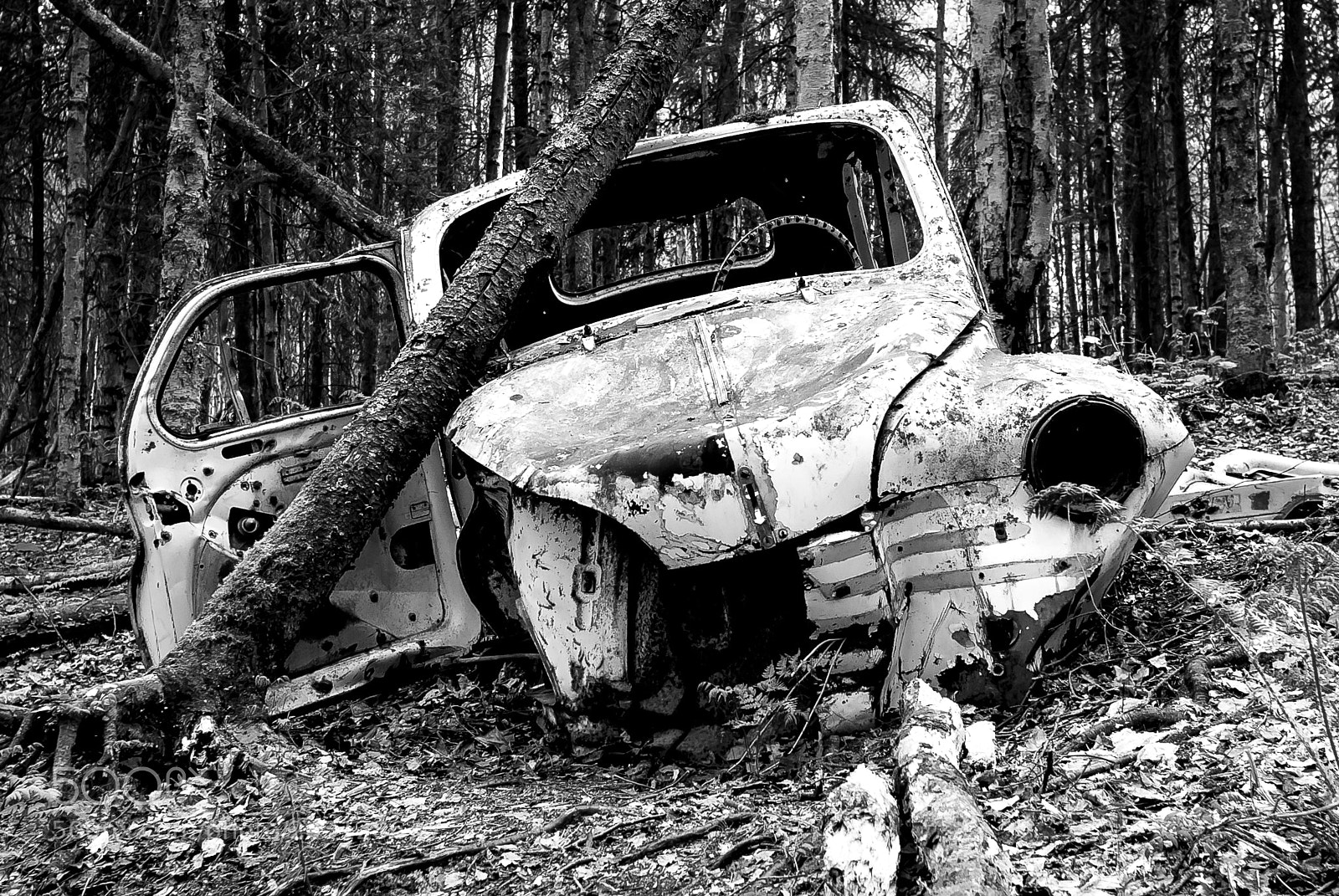Nikon D200 sample photo. Renault 4cv photography