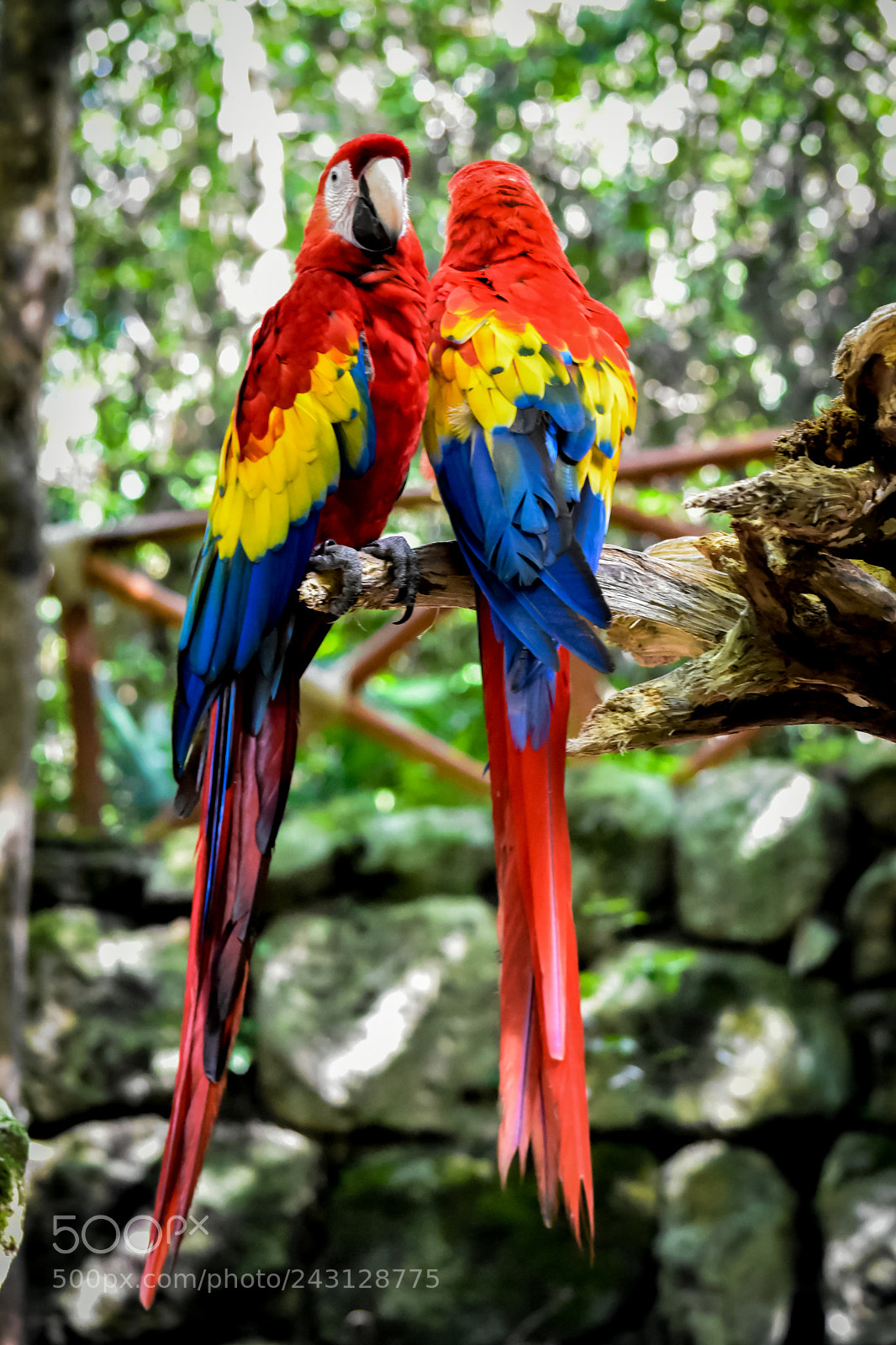 Nikon D7200 sample photo. Nature color photography