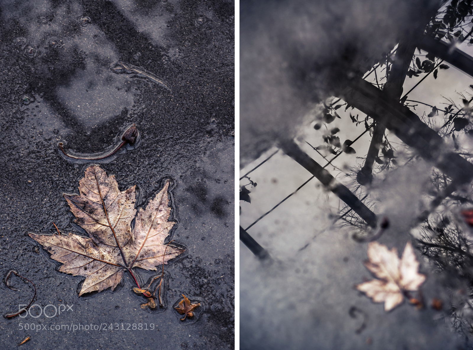 Nikon D610 sample photo. Rain photography