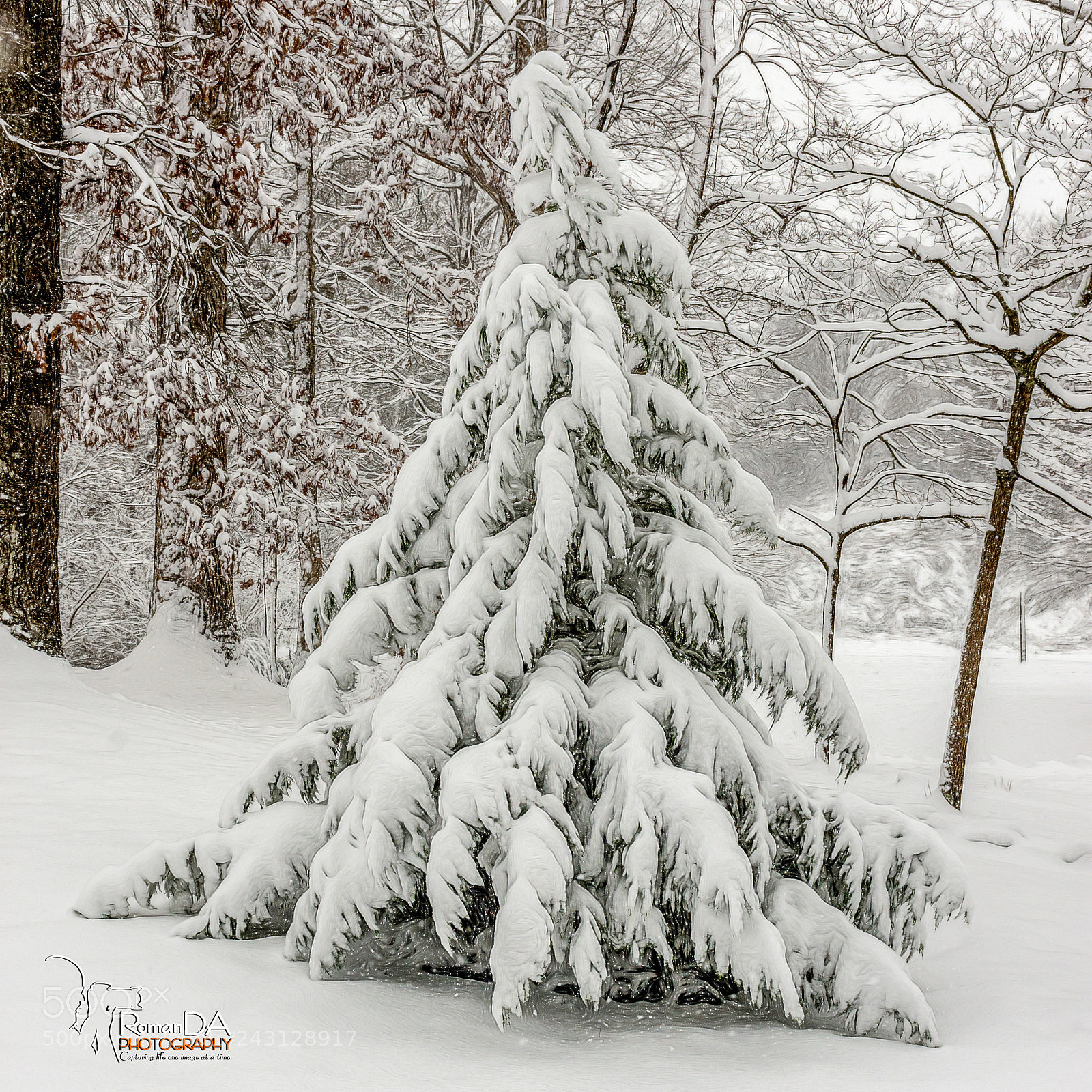 Nikon D7200 sample photo. Snow tree photography