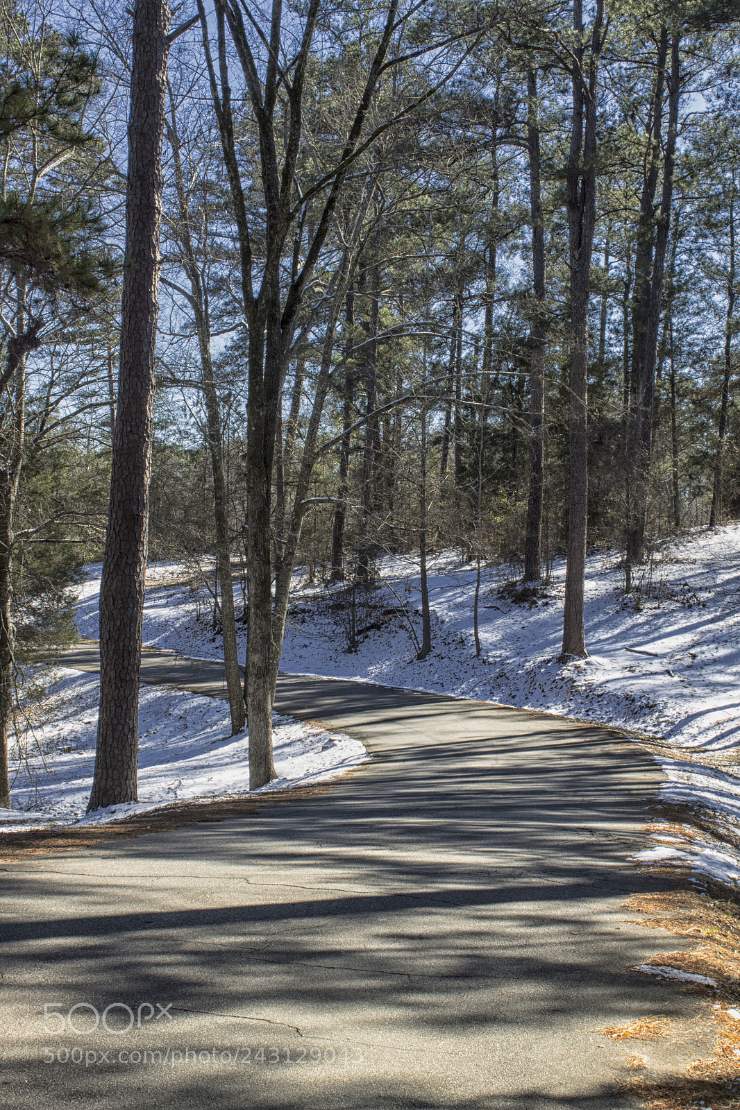 Canon EOS 1100D (EOS Rebel T3 / EOS Kiss X50) sample photo. Road to the snow photography