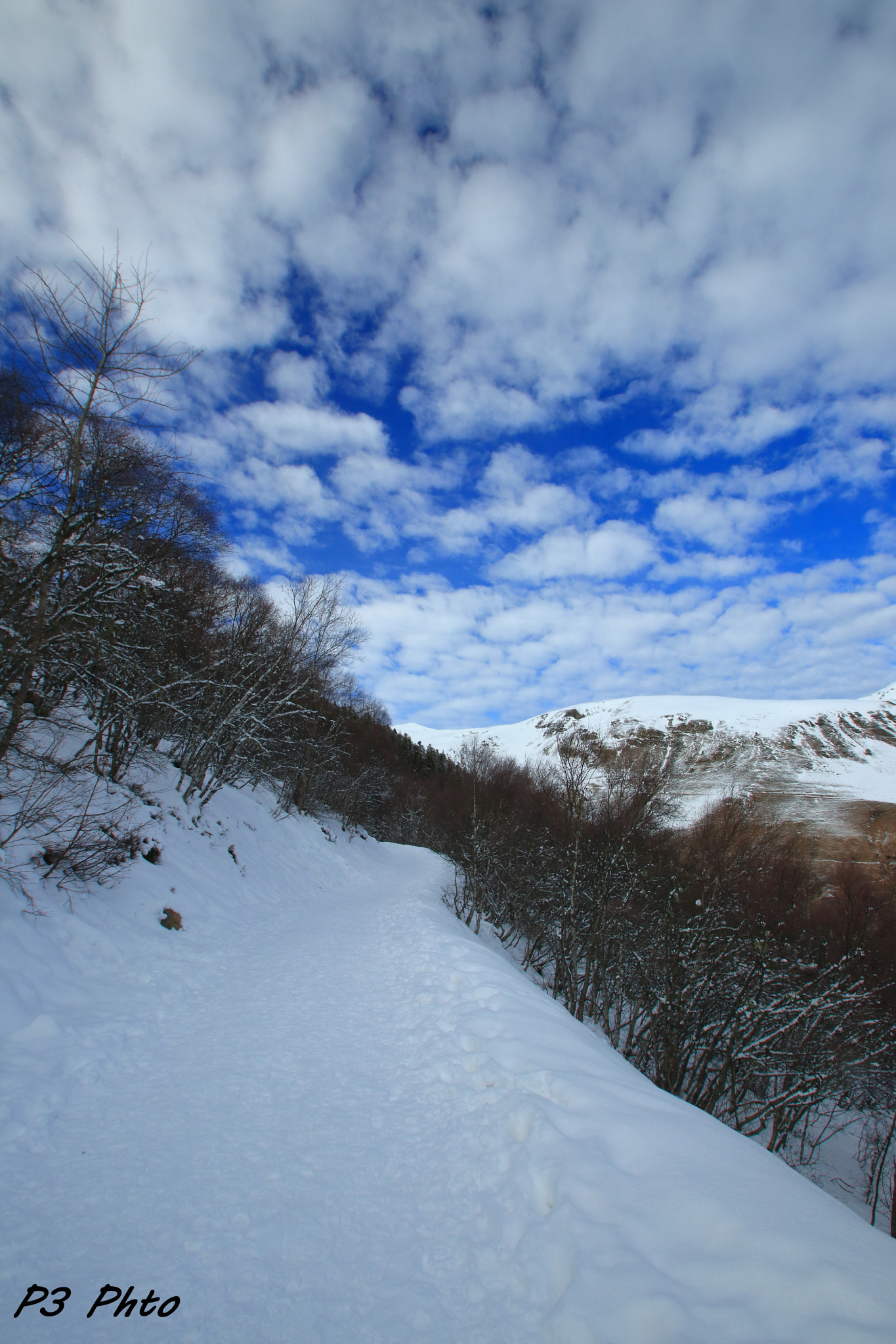 Sigma 10-20mm F3.5 EX DC HSM sample photo. Img photography