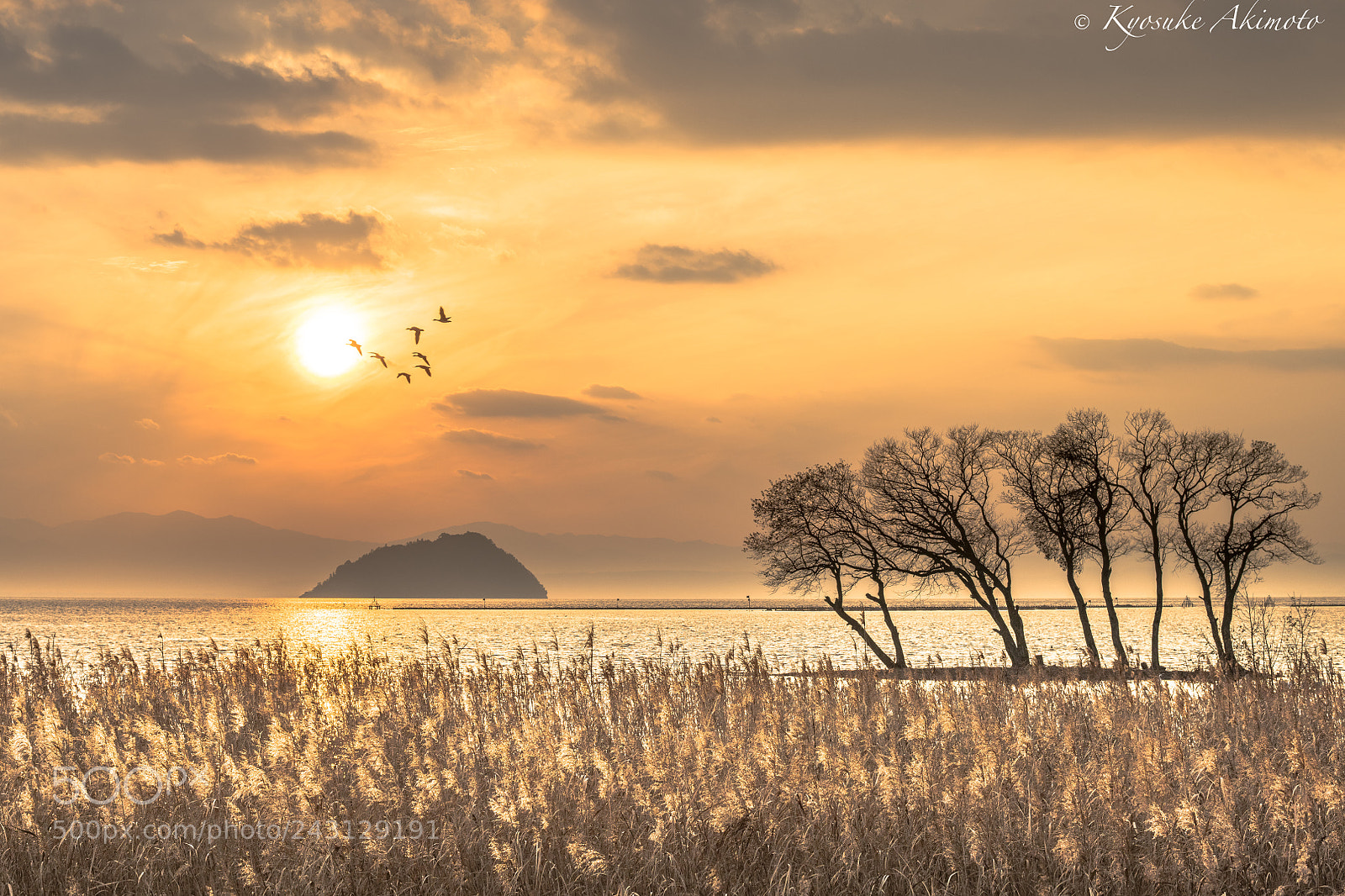 Nikon D850 sample photo. Sunset photography
