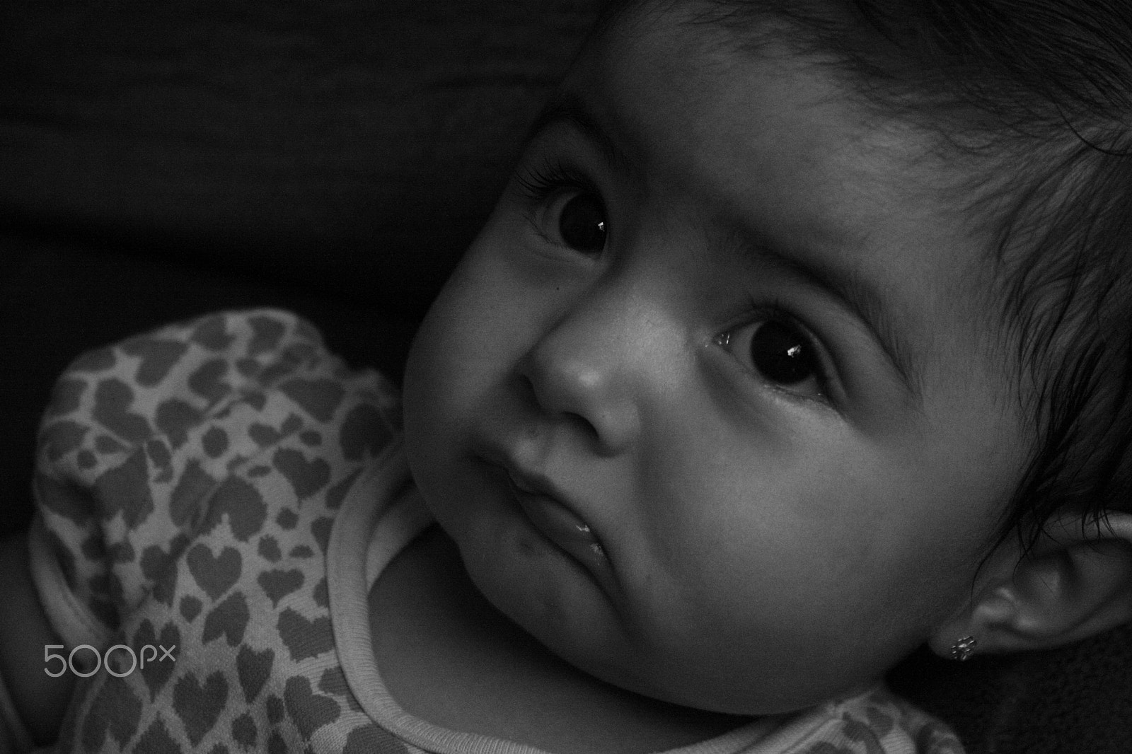 Canon EOS 1000D (EOS Digital Rebel XS / EOS Kiss F) sample photo. Amorcito photography