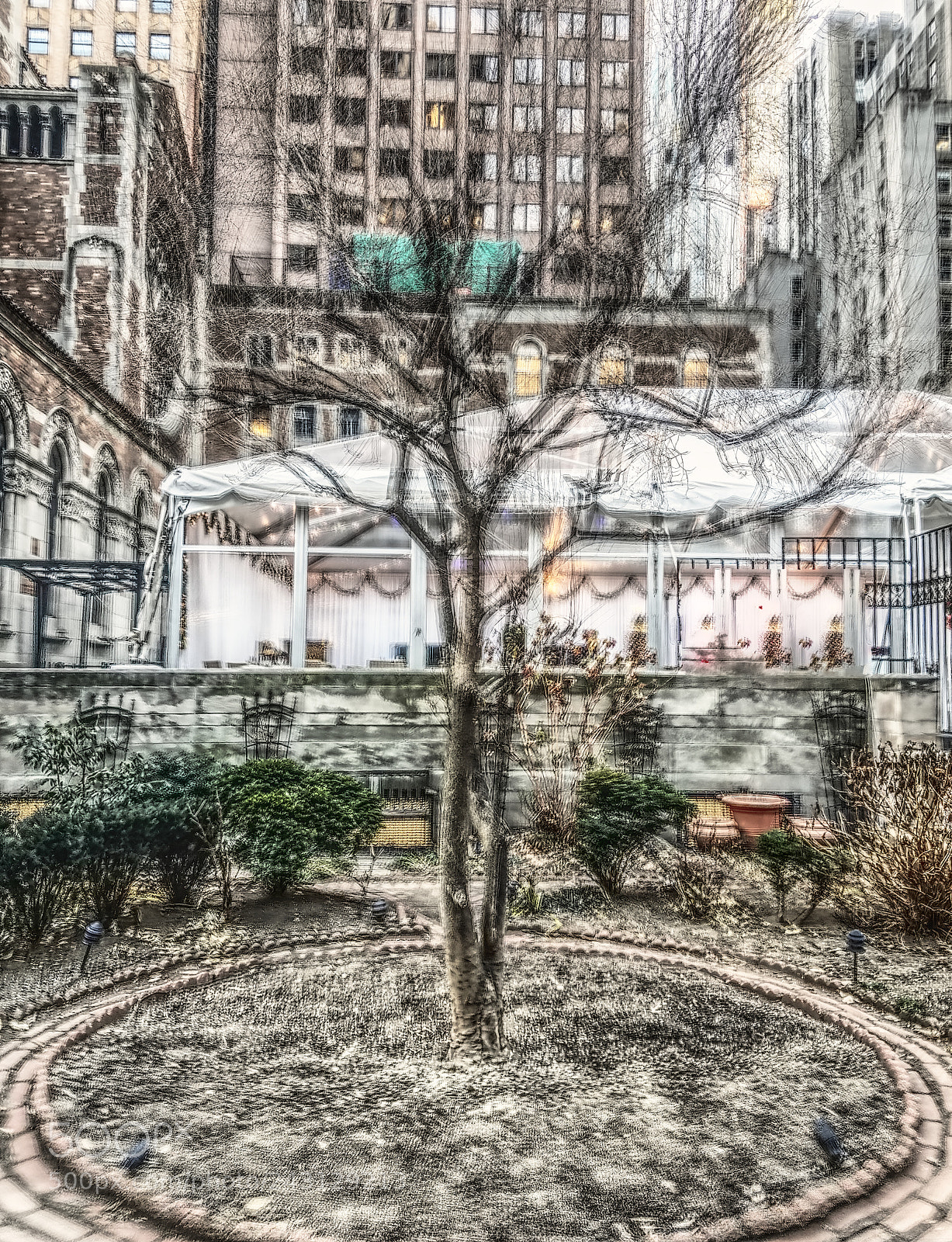Samsung Galaxy S7 sample photo. Tree near st bart's photography