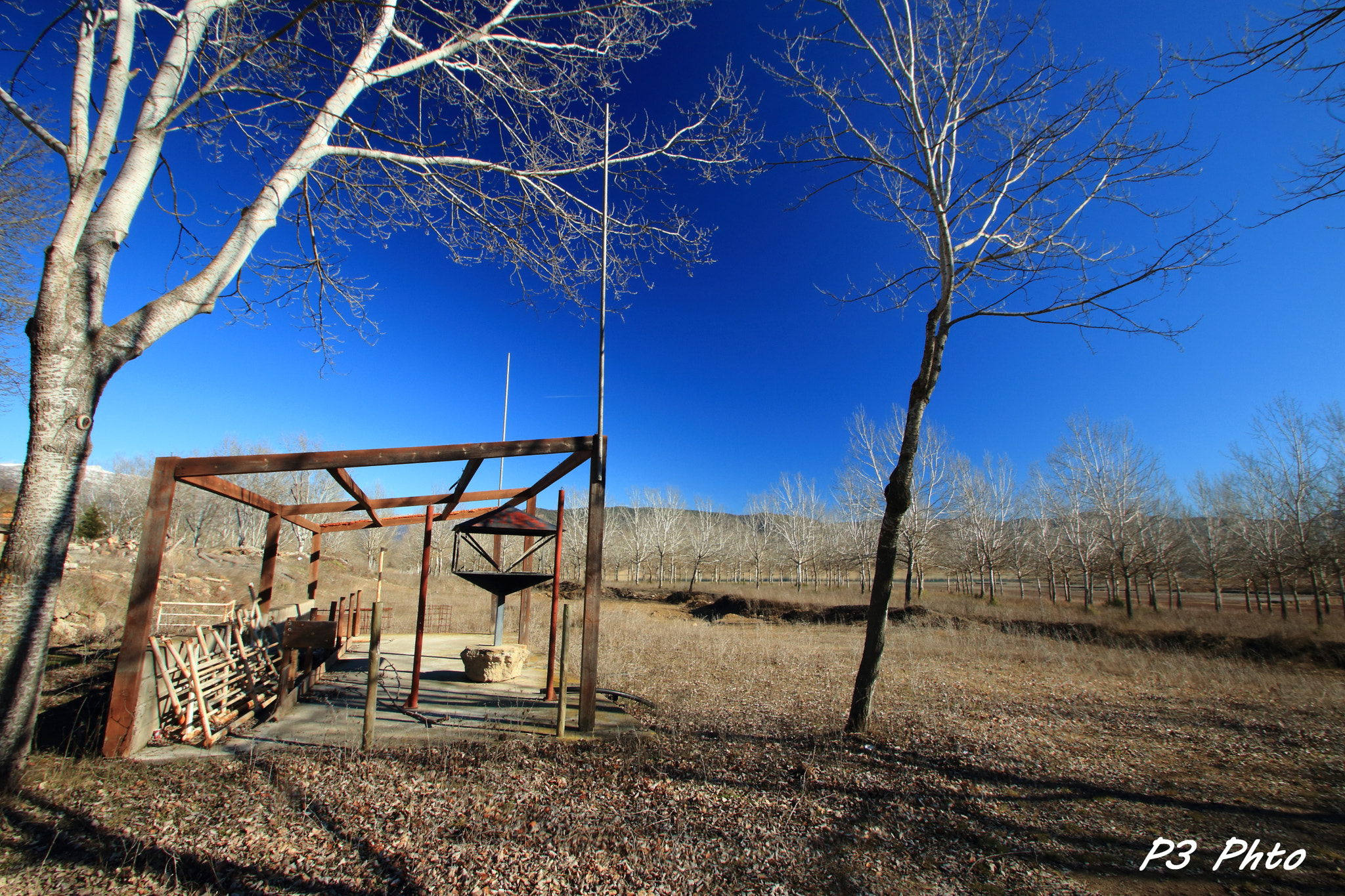 Sigma 10-20mm F3.5 EX DC HSM sample photo. Img photography
