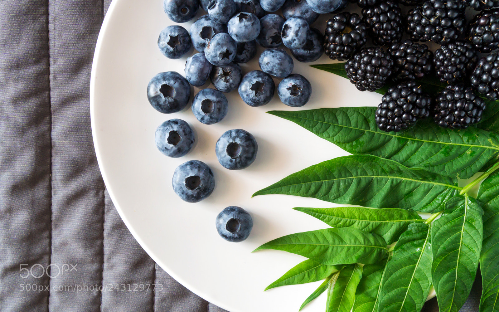 Sony a6000 sample photo. Still life of blueberries photography