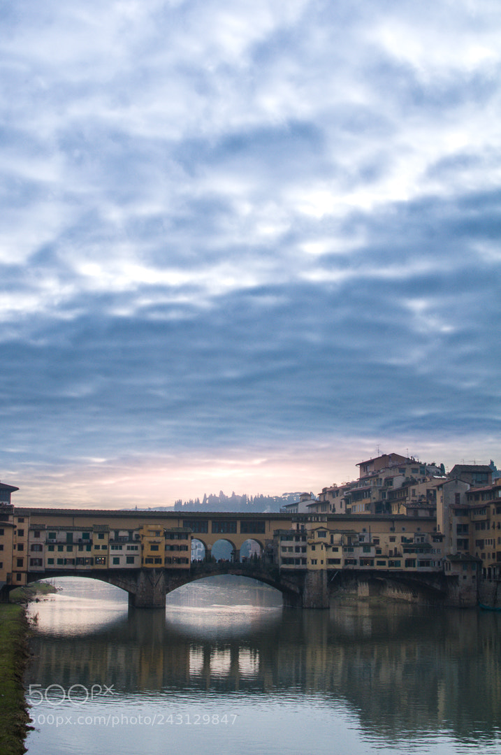 Nikon D90 sample photo. Ponte vecchio photography