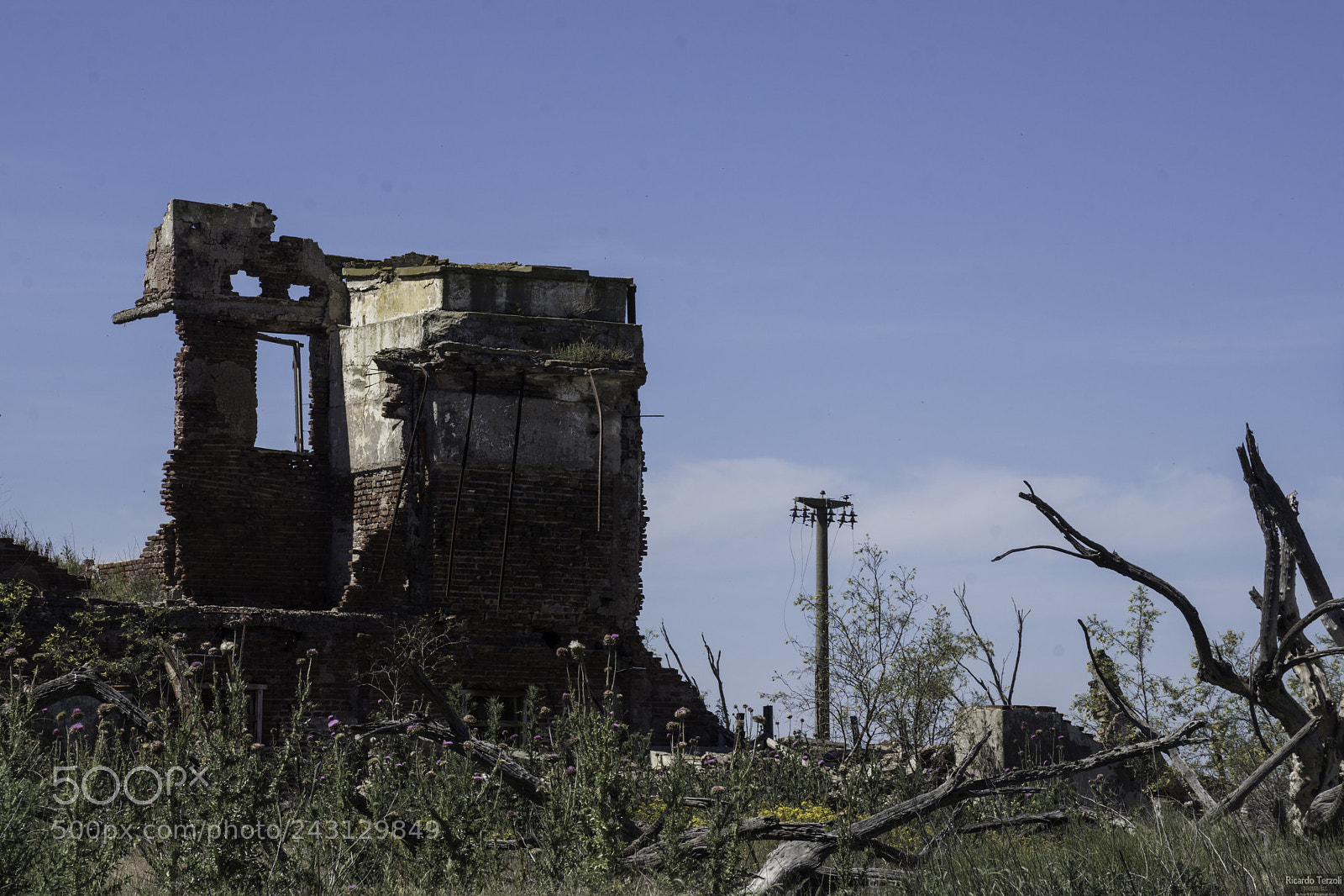 Nikon D7200 sample photo. Lo que queda en photography