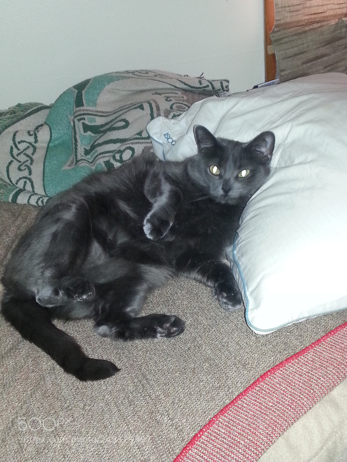 Samsung Galaxy S3 sample photo. Untitled photography
