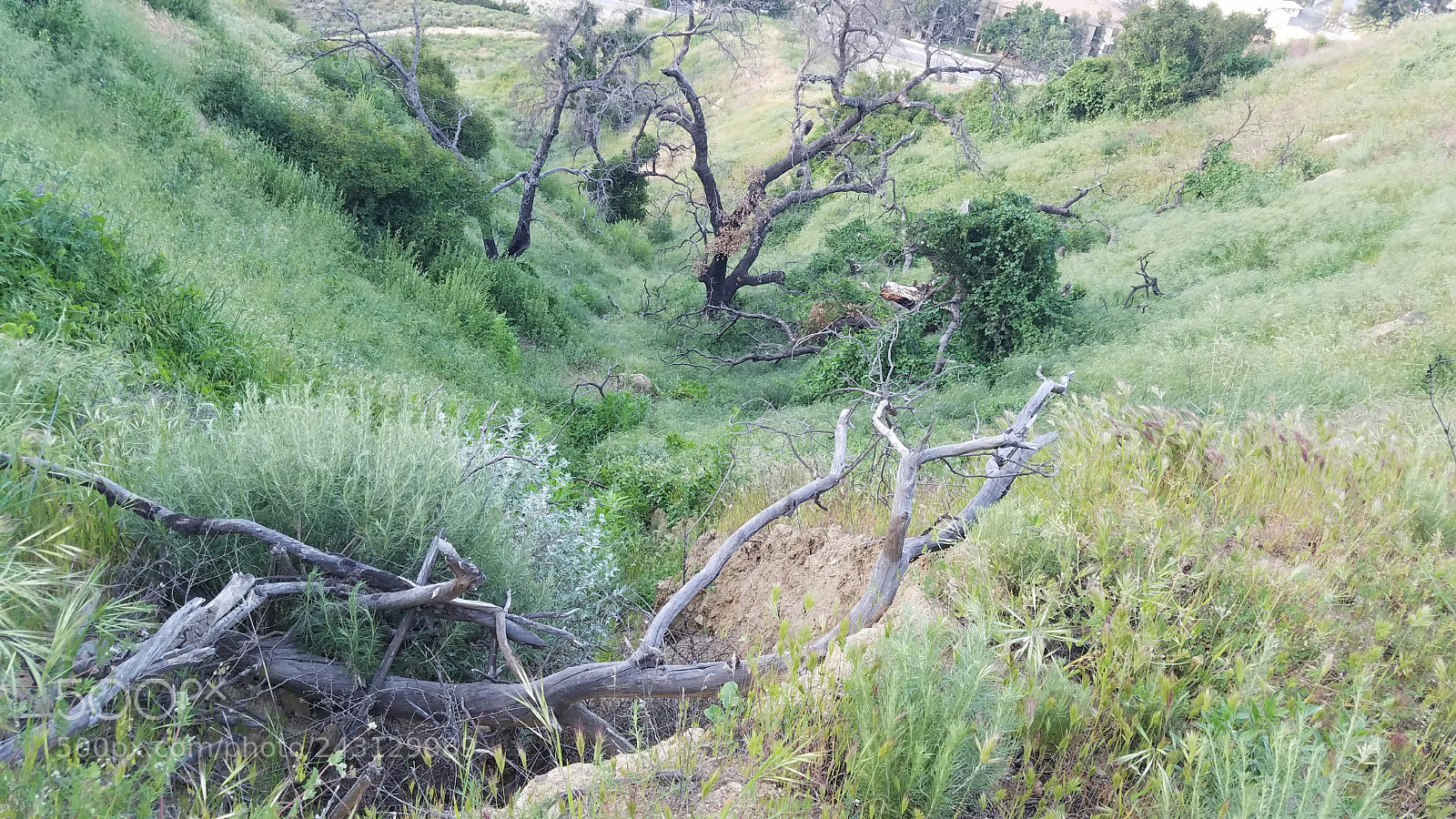 Samsung Galaxy S7 sample photo. Beautiful disaster photography